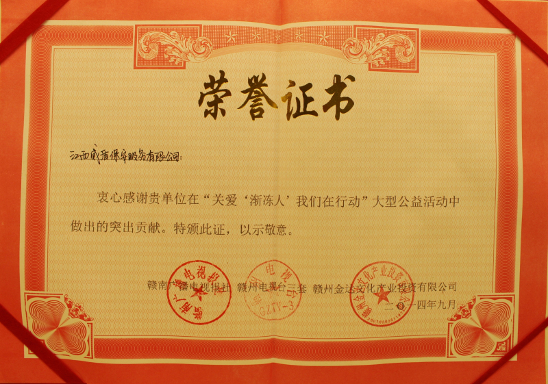 我们在行动大型公益荣誉证书